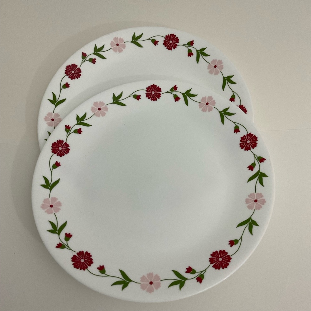 Corelle dinner plate set of 2